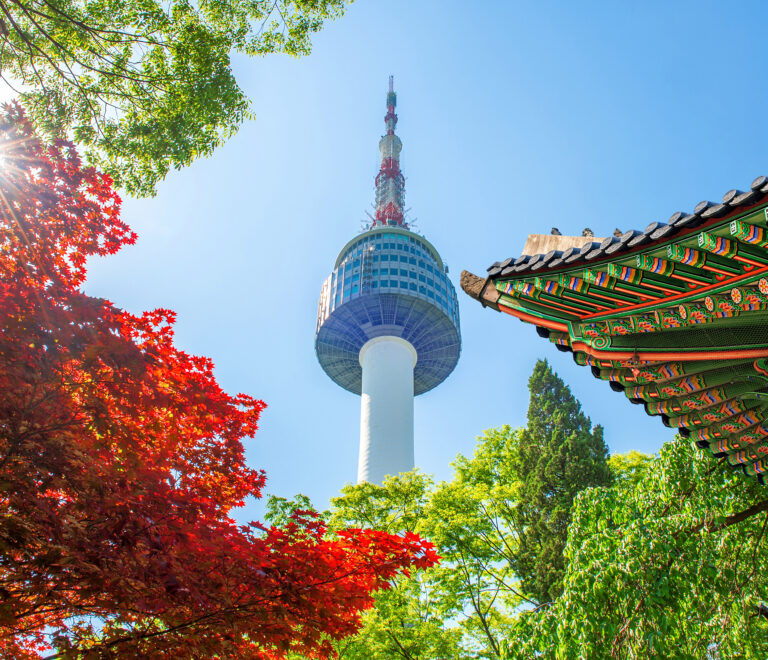 Seoul Tower with gyeongbokgung roof and red autumn maple leaves at Namsan mountain in South Korea.