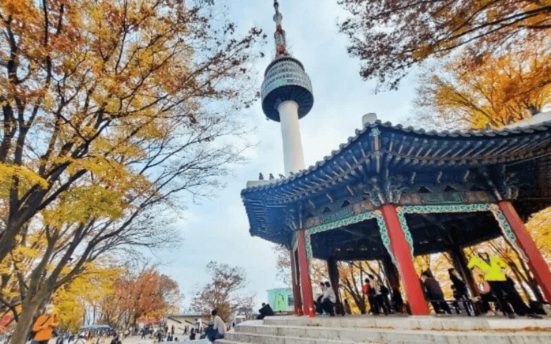 Nightly Sparkles at N Seoul Tower
