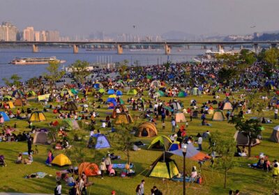 Han River Picnic