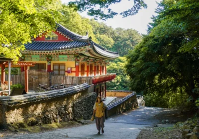 Temple Stay