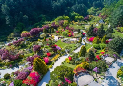 The Garden of Morning Calm The Garden of Morning Calm